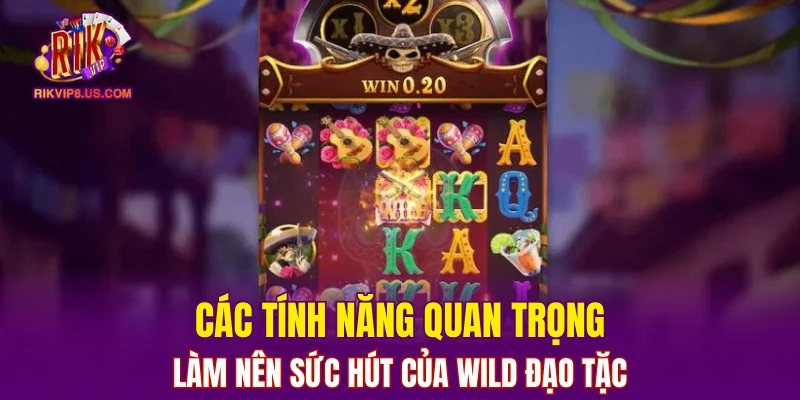 Các tính năng quan trọng làm nên sức hút của Wild Đạo Tặc