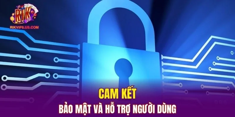 Nền tảng cam kết luôn bảo mật và hỗ trợ người dùng