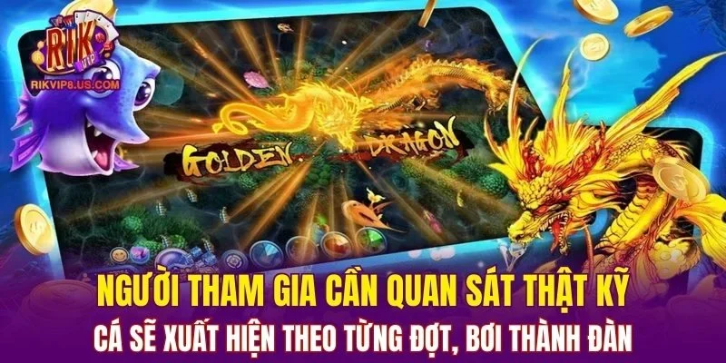Người tham gia cần quan sát thật kỹ