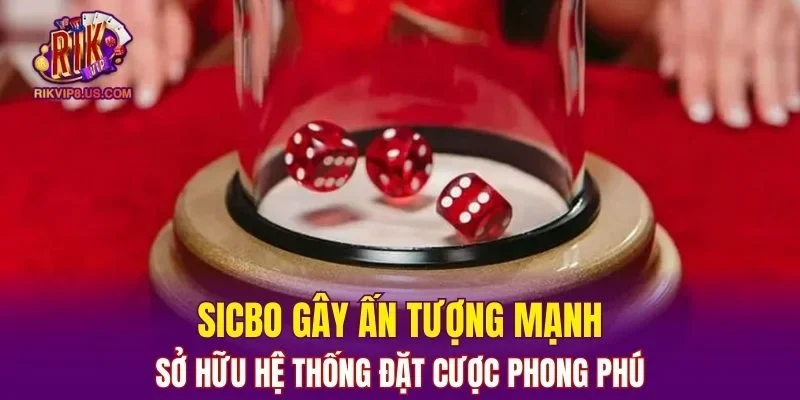 Sicbo sở hữu hệ thống đặt cược phong phú